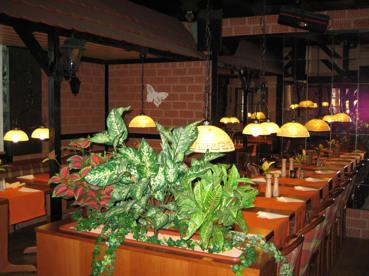 Restaurant, Restaurants, Duderstadt, Schnitzel, Steaks, Butterfly, Steakhaus, Schnitzelhaus,Gaststtte, Gaststtten, Kegelbahn, Kegelbahnen, Biergarten